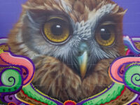 SWIFTMANTIS & Sean Duffell Mural - Berryman's Morepork Travel Forum Reviews