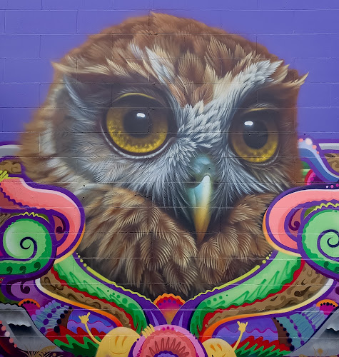 SWIFTMANTIS & Sean Duffell Mural - Berryman's Morepork