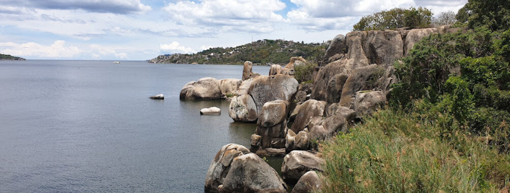 Saanane National Park Travel Forum Reviews