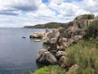 Saanane National Park Travel Forum Reviews