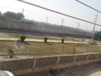 Sachal Park & Walking Track Travel Forum Reviews