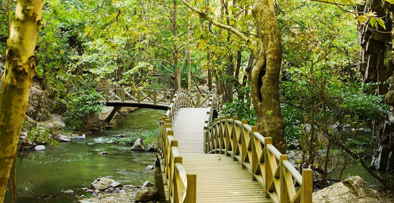 Sadağı Kanyonu Tabiat Parkı