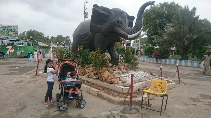 Safari Park