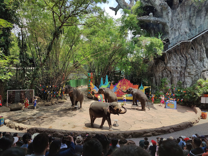 Safari World