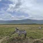 Safari Zanzibari tour operator. TANZANIA SAFARI and KILIMANJARO CLIMBING