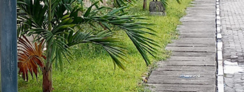 SafeStyle Gardens Travel Forum Reviews