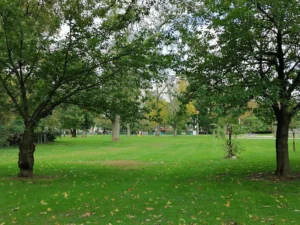 Sagamore Park
