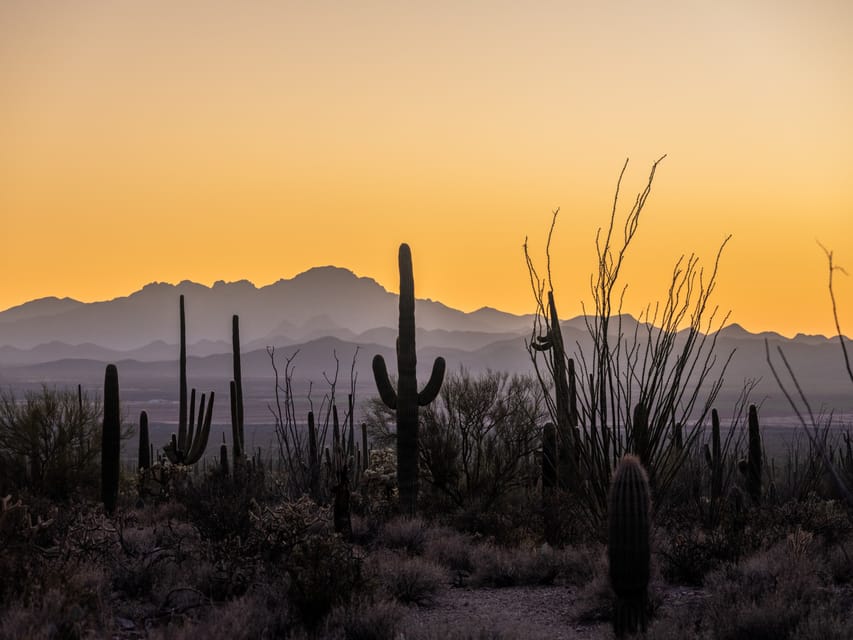 Saguaro National Park