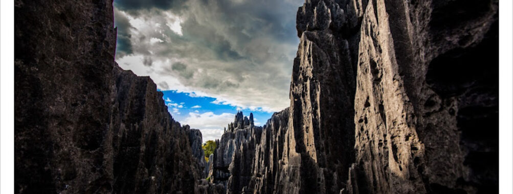 Saha Travel Madagascar (SATRAMA) Travel Forum Reviews