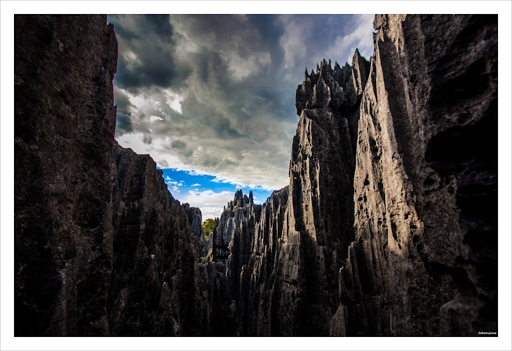 Saha Travel Madagascar (SATRAMA)