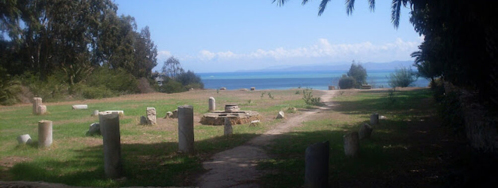 Saint Cyprian Basilica Travel Forum Reviews