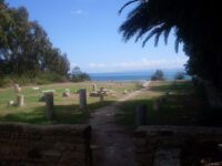 Saint Cyprian Basilica Travel Forum Reviews