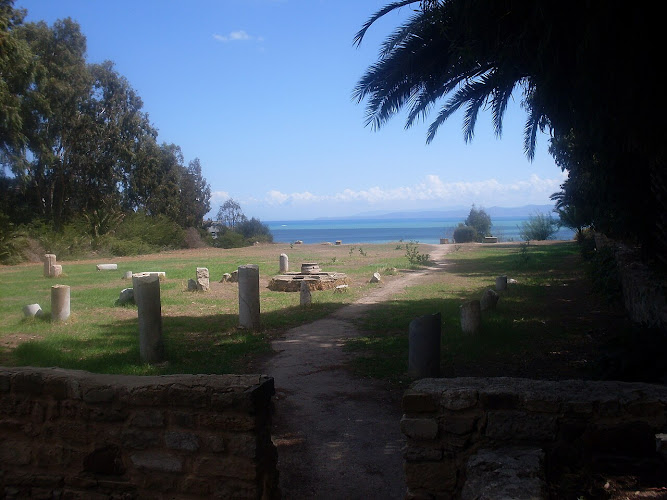 Saint Cyprian Basilica