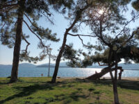 Saint Konstantinos Park Travel Forum Reviews