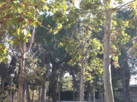 Saint Salvador Park Travel Forum Reviews