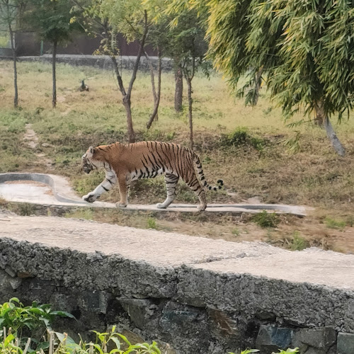 Sajjan Garh Biological Park
