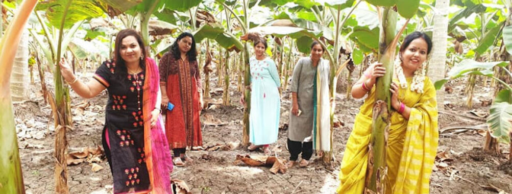 Sajjapuram Park Travel Forum Reviews