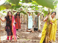 Sajjapuram Park Travel Forum Reviews