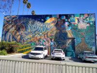 Salazar Park Travel Forum Reviews