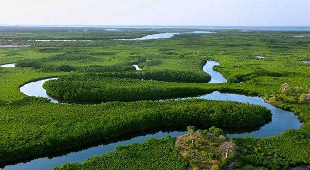 Saloum Delta National Park