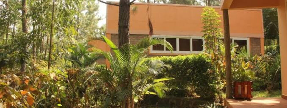 Saltek Forest Cottages Travel Forum Reviews
