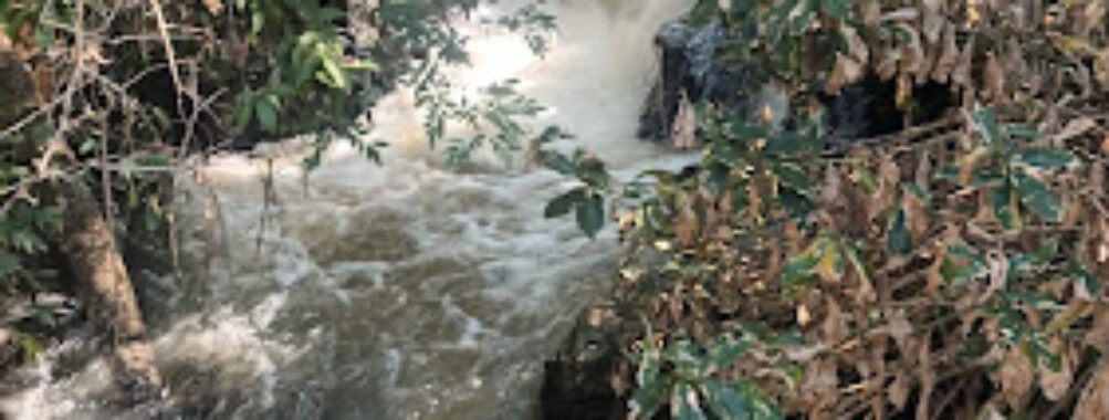 Salto Alvar Nuñez Travel Forum Reviews