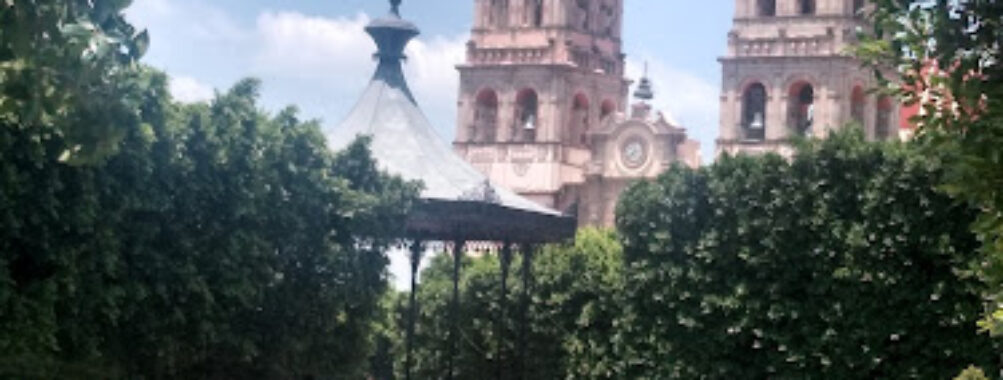 Salvatierra Travel Forum Reviews