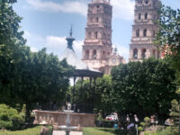Salvatierra Travel Forum Reviews
