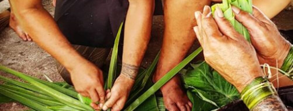 Samoa Cultural Village Travel Forum Reviews