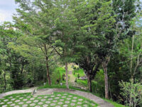 San Agustin Botanical Park Travel Forum Reviews