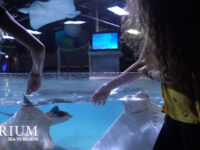 San Antonio Aquarium Travel Forum Reviews
