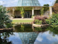 San Antonio Botanical Garden Travel Forum Reviews