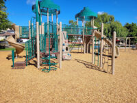 San Bruno City Park Travel Forum Reviews