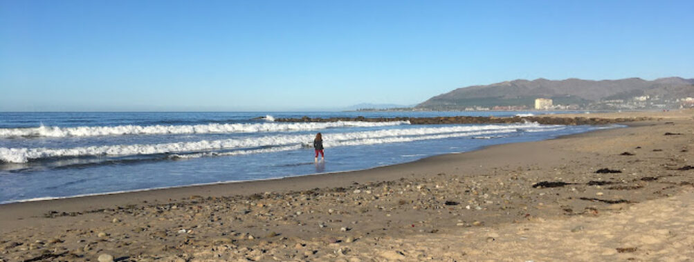 San Buenaventura State Beach Travel Forum Reviews
