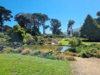 San Francisco Botanical Garden Travel Forum Reviews