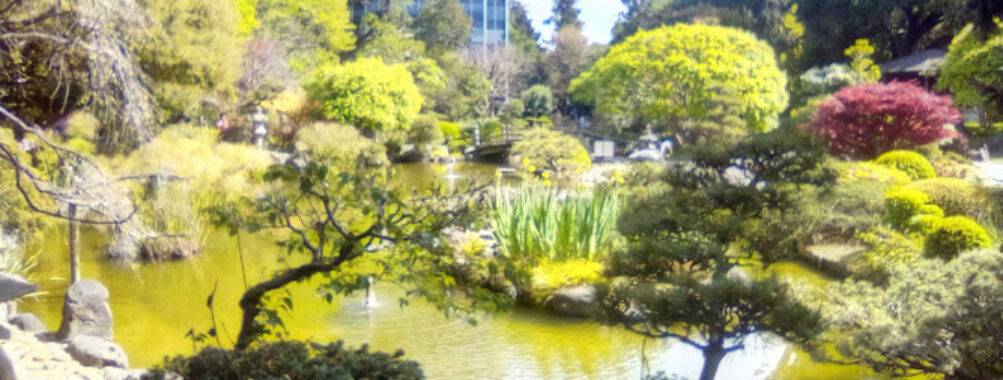 San Mateo Travel Forum Reviews