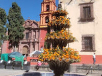 San Miguel de Allende Travel Forum Reviews