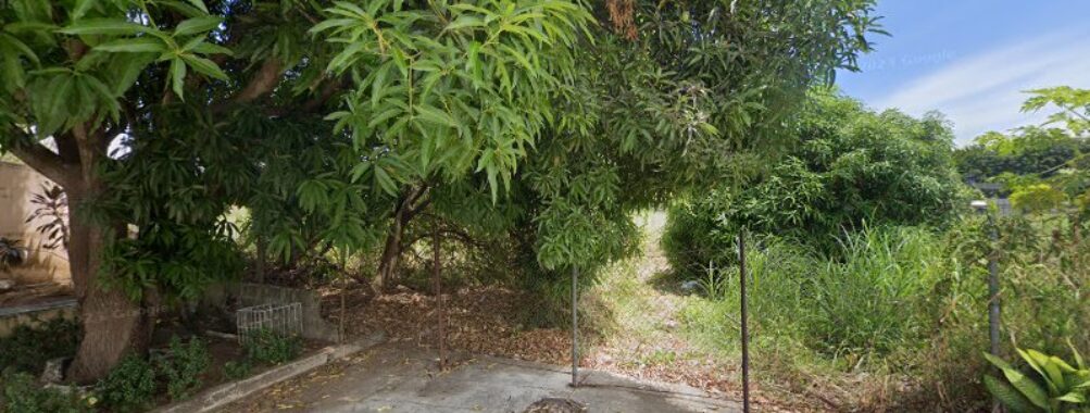 San Miguelito Park Travel Forum Reviews