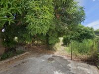 San Miguelito Park Travel Forum Reviews