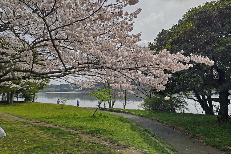 Sanaruko Park