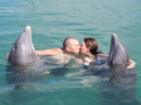 Sanctuary Bay Travel Forum Reviews