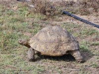 Sandveld Museum Travel Forum Reviews