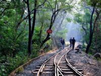 Sanjay Gandhi National Park Travel Forum Reviews