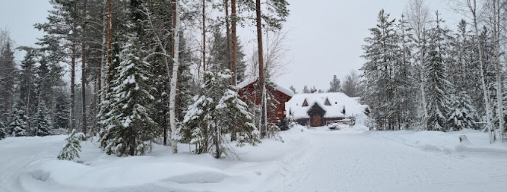 Santa Claus Secret Forest – Joulukka Travel Forum Reviews