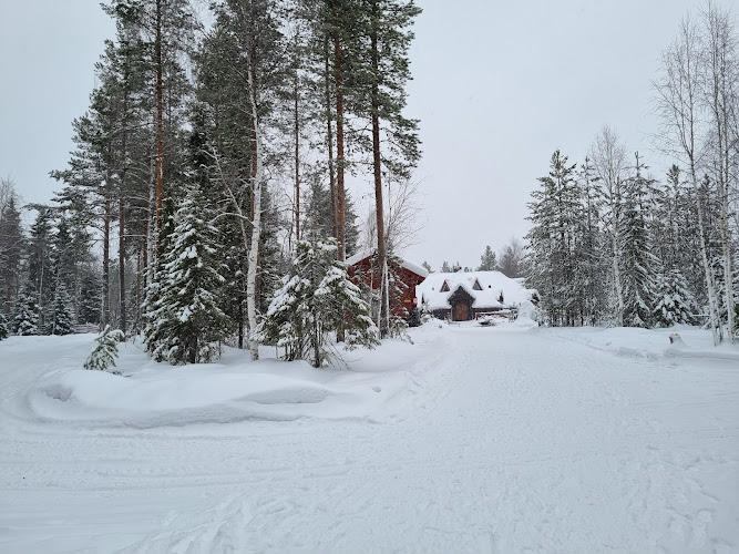 Santa Claus Secret Forest – Joulukka