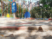 Santa Cruz Park Travel Forum Reviews