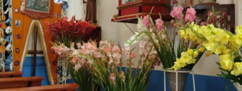 Santa María Atzompa Travel Forum Reviews