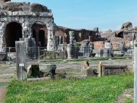 Santa Maria Capua Vetere Travel Forum Reviews