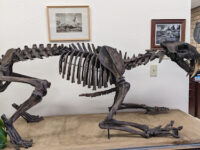 Santa Maria Valley Historical Society Museum Travel Forum Reviews