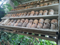 Santuario de Abejas sin Aguijon Travel Forum Reviews